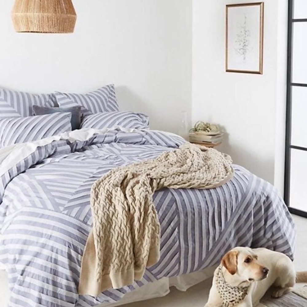 Anthropologie Ansene Blue Duvet and Shams